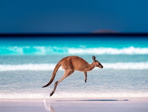 Excursions for Wales Summer Tour to Australia 2024 image