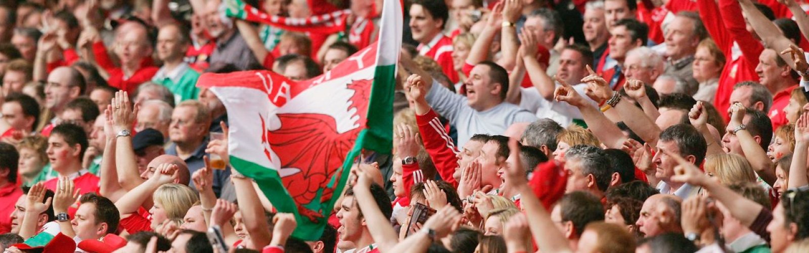 Wales Autumn Nations Series 2024 ticket package options image