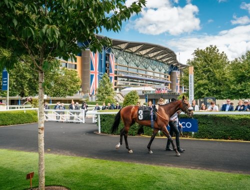 Book Now VIP hospitality package with tickets for Royal Ascot