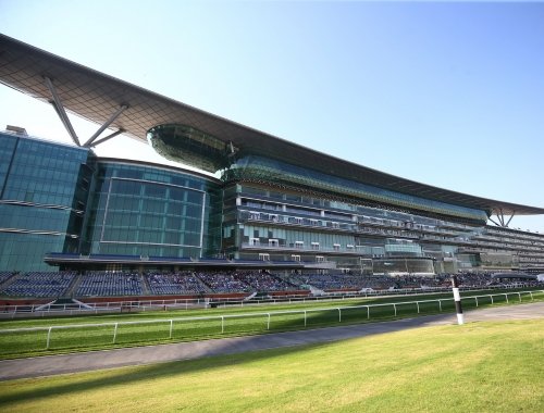 Official Apron View Ticket to the Dubai World Cup - image