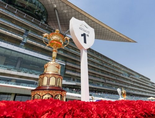 Official Dubai World Cup 2026 ticket package for horse racing fans - book now - image