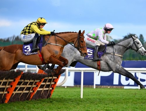 General Enclosure Tickets for Dublin Racing Festival at Leopardstown