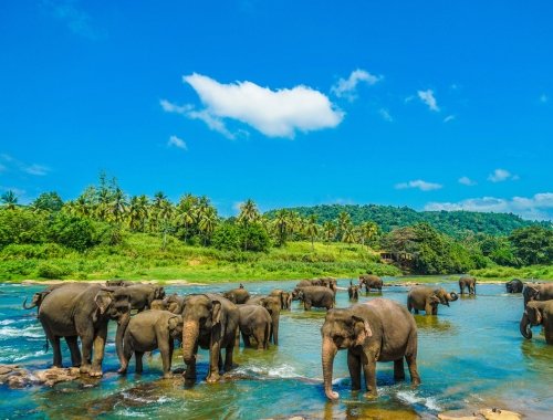 Sri Lanka v England Cricket ticket packages with Gullivers Sports Travel merchandise