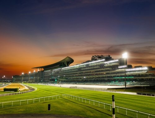 Silks Restaurant - Hospitality Options for horseracing fans Dubai World Cup 2026