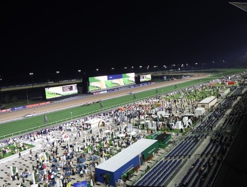 The Terrace - Dubai World Cup 2026 Hospitality options for horseracing fans