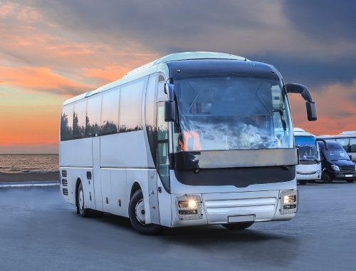 Official Men's Rugby World Cup Australia 2027 coach bus transfers - image