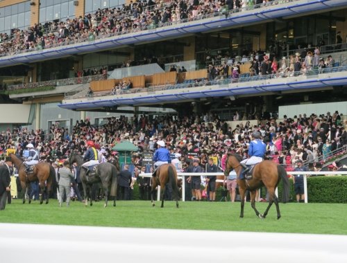 Royal Ascot hospitality ticket packages at Restaurant in the Village