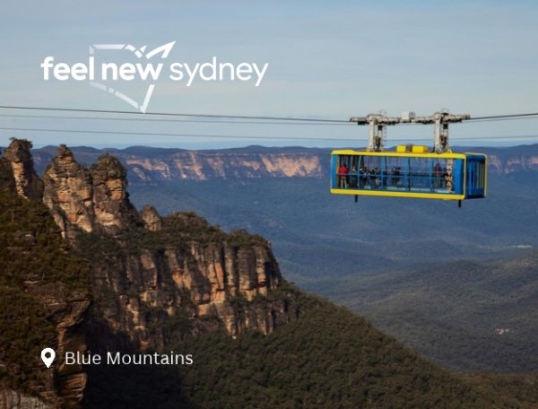 Feel New Sydney Tourism Board image