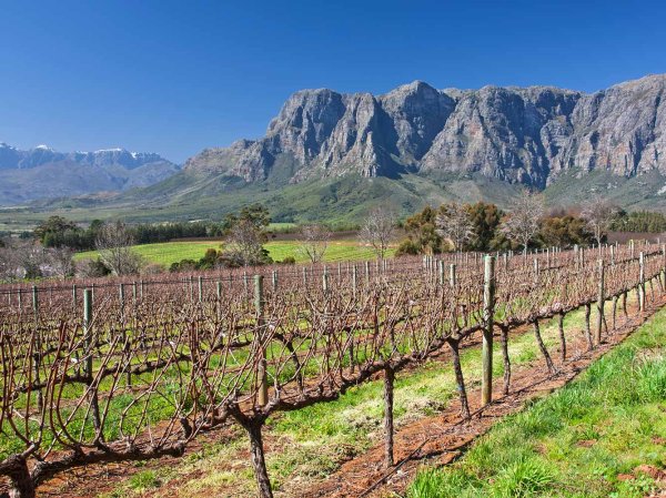 England Cricket Tour to South Africa 2019/2020- Second Test Tour 10N