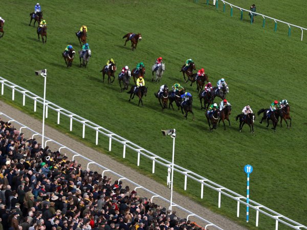 Race day inclusions