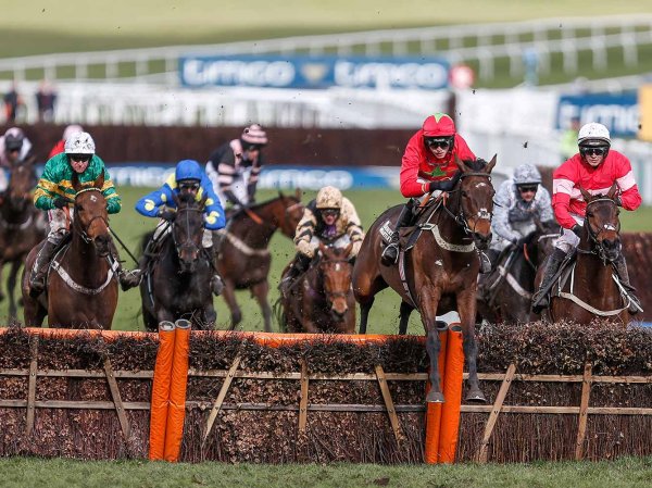 Race day inclusions