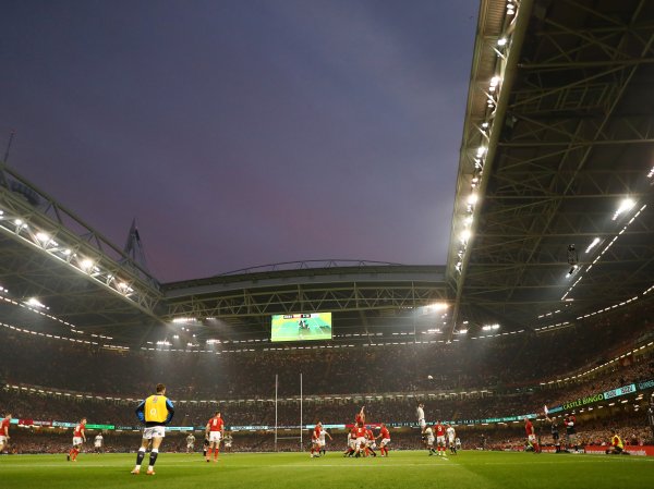 Wales v New Zealand