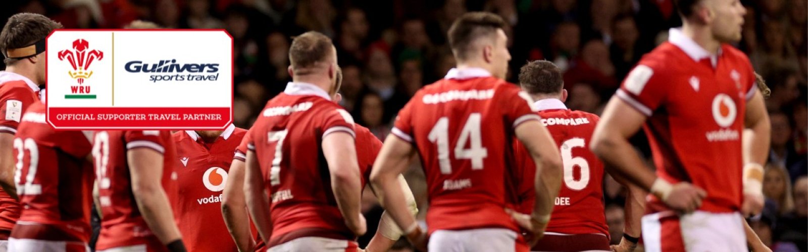 Follow Wales Guinness Six Nations 2025 match ticket packages image