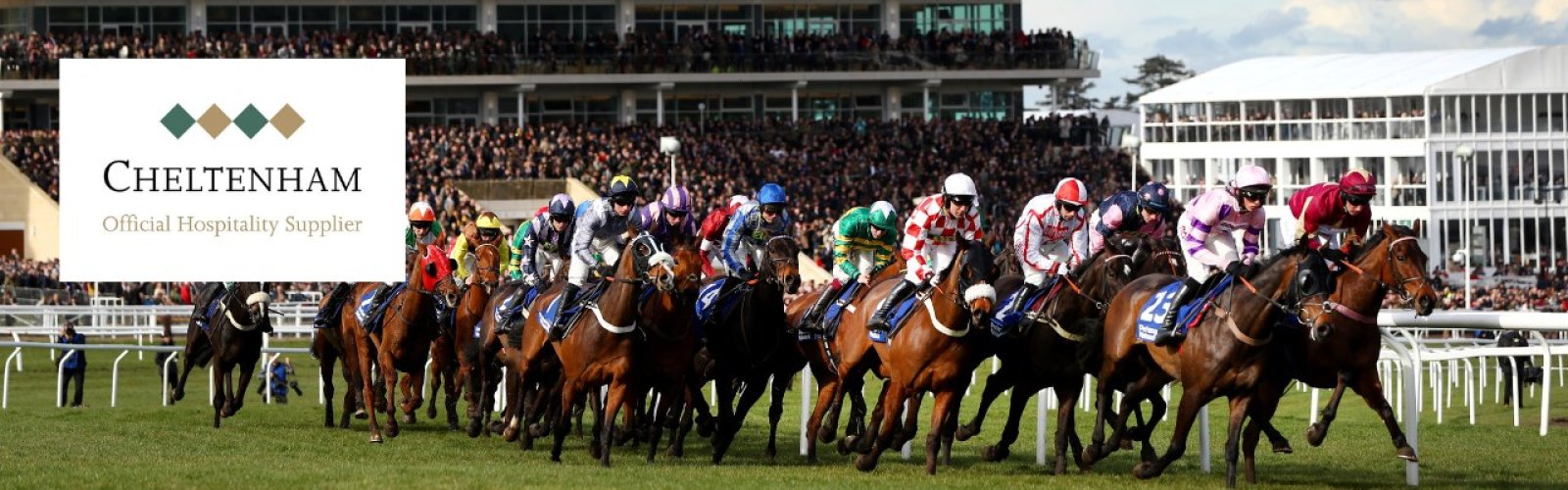 Cheltenham Festival hospitality packages - VIP ticket packages for Cheltenham races image