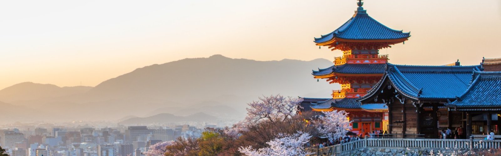 Wales Summer Tour to Japan 2025 ticket package for the 1st and 2nd Test matches - image