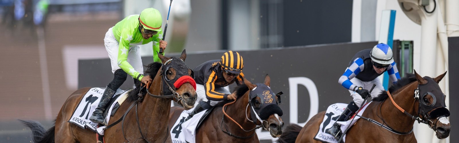 Official Dubai World Cup ticket package with Apron View Ticket for horse racing fans - image