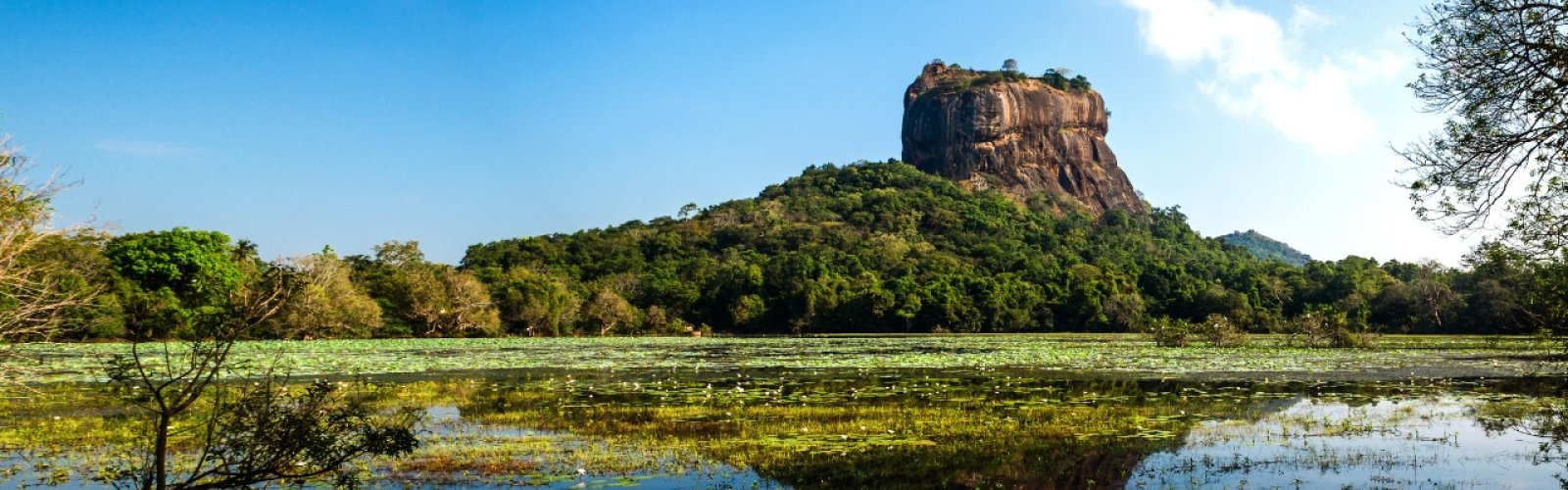 Book England Cricket Tour to Sri Lanka 4 T20Is – Dambulla & Colombo image