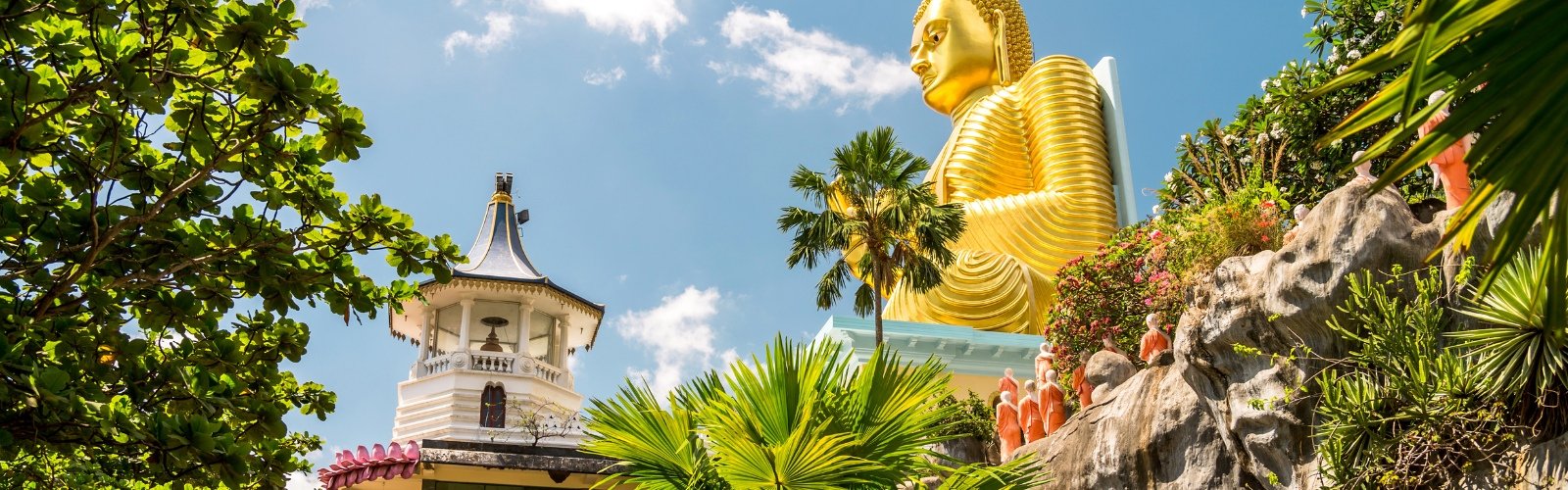 Book England Cricket Tour to Sri Lanka ODI & T20I Series Full Tour – Colombo, Kandy, and Dambulla - image