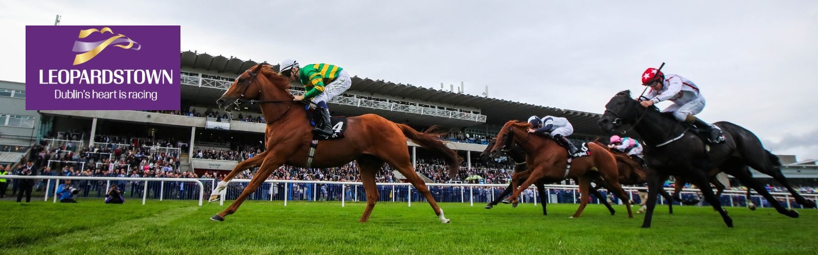 Book official Dublin Racing Festival Leopardstown 2026 ticket packages for Horse Racing fans with Gullivers Travel - image