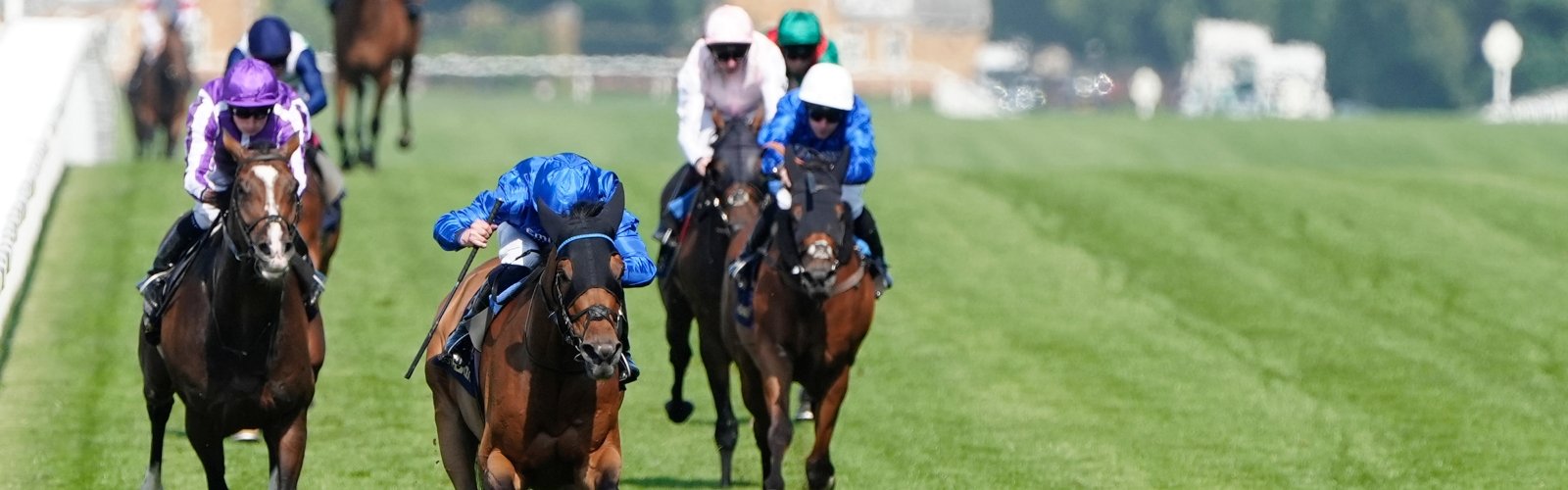Book Official Hospitality for Ascot Racedays 2026 - perfect for horseracing fans!