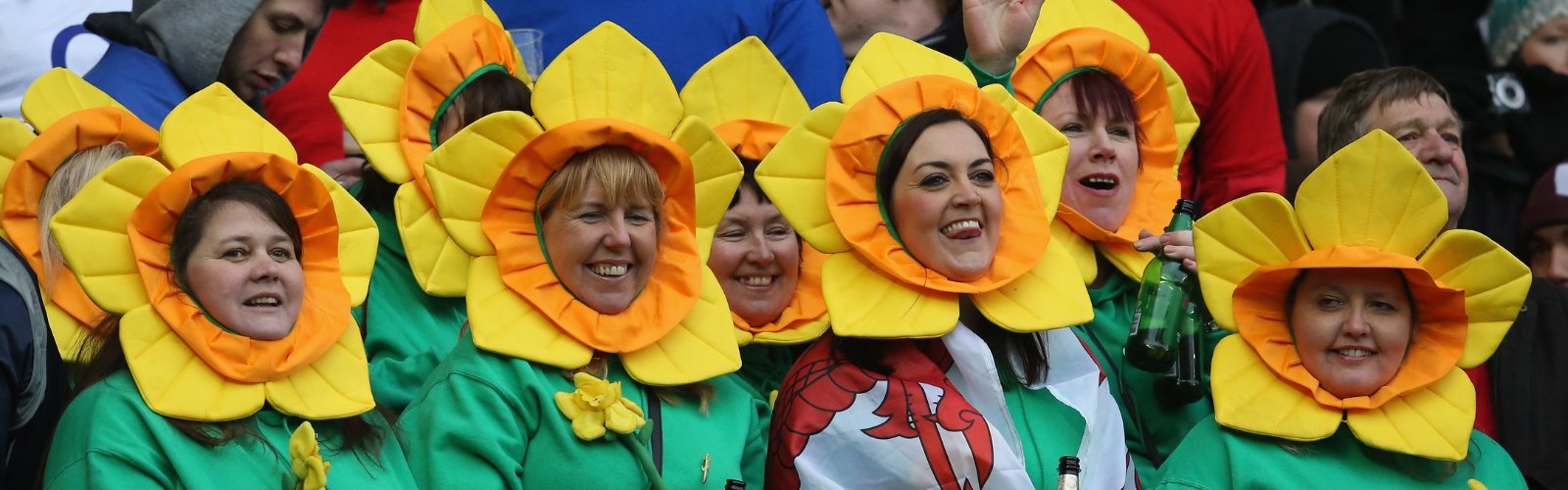 Book Official Men's Rugby World Cup 2027 Australia ticket packages to Follow Wales for all Pools and Knockout Matches - banner image