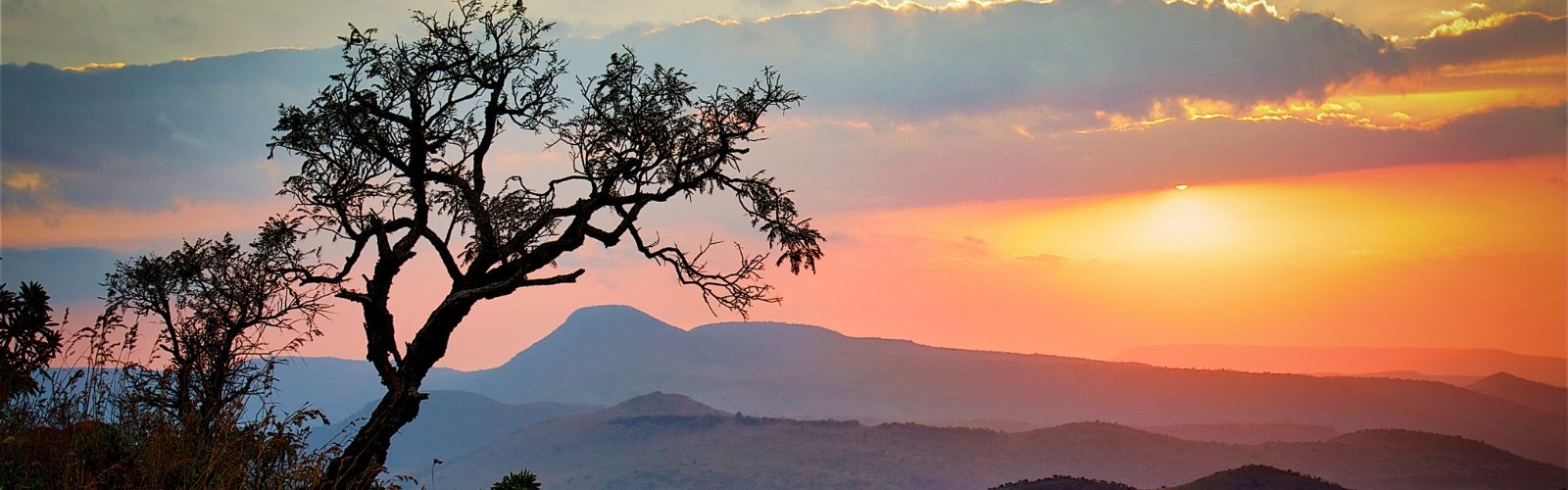 Book South Africa v Scotland official ticket and accommodation packages for the Nations Championships 2026 with Gullivers Sports Travel - banner image 