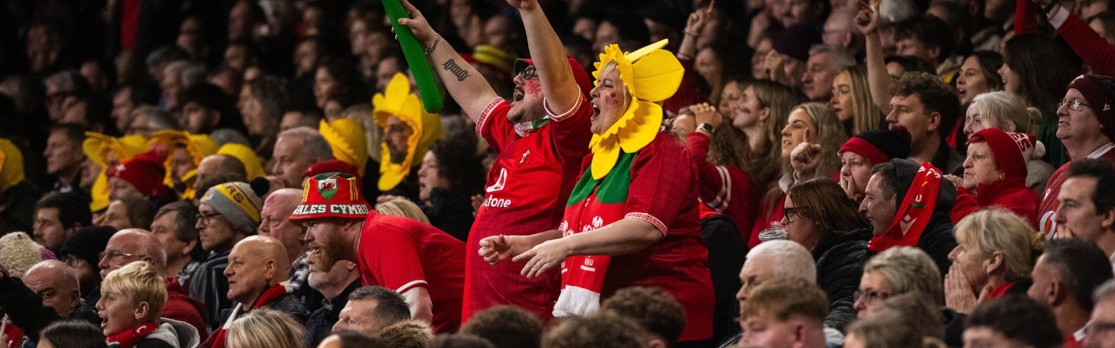 Wales Women's Six Nations Banner Image