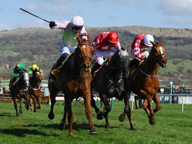 The Cheltenham Festival ticket and hospitality packages