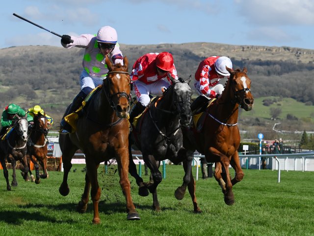 The Cheltenham Festival hospitality packages