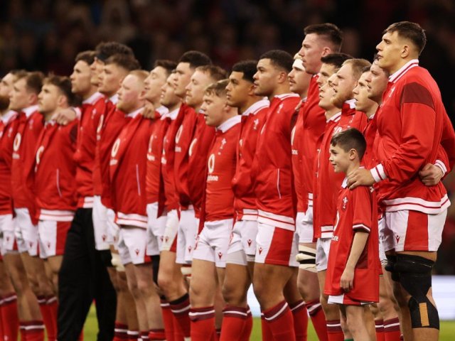 Wales Autumn Nations Series 2024 ticket, hotel and travel packages image