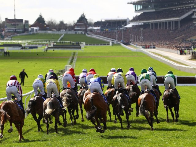 Cheltenham Festival hospitality packages to experience the pinnacle of jump racing 2025 image