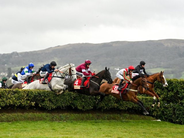 Cheltenham Festival hospitality packages to experience the pinnacle of jump racing live 2025 image