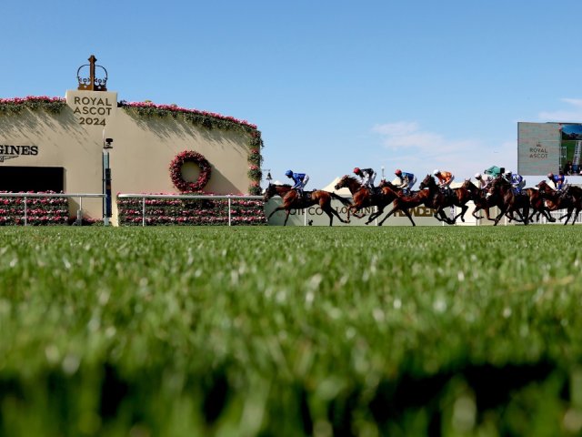 Royal Ascot 2025 - Official Hospitality Options