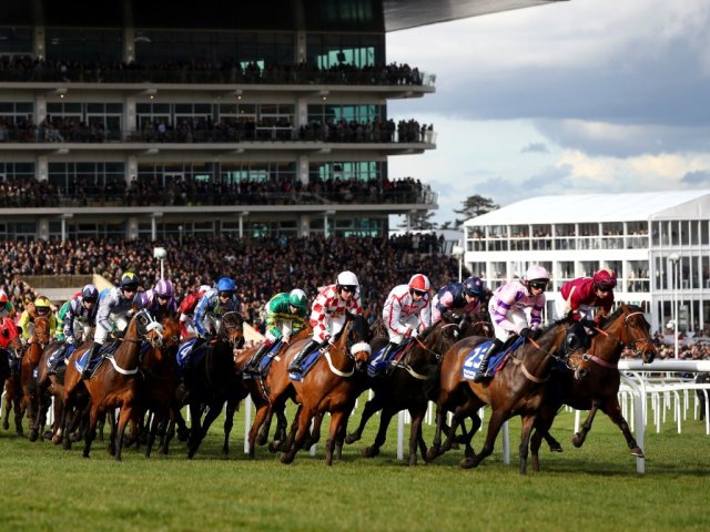 Cheltenham Festival hospitality packages - VIP ticket packages for Cheltenham races image