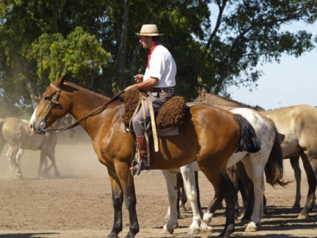 England Summer Tour to Argentina 2025 ticket package - Gaucho excursion