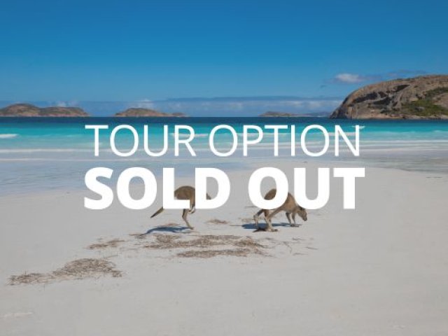 Official British & Irish Lions 2025 – All Three Tests – Epic Tour image