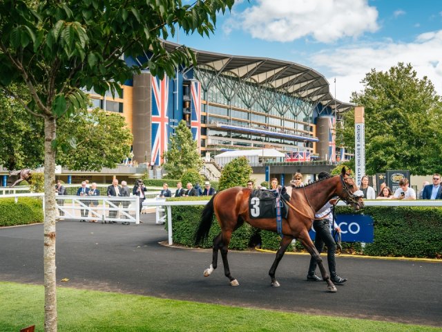 Panoramic Restaurant VIP hospitality package with tickets for Royal Ascot image.jpg