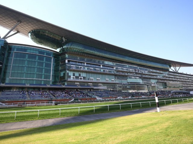 Book Official Dubai World Cup 2026 ticket packages for Horse Racing fans with Gullivers Sports Travel - image