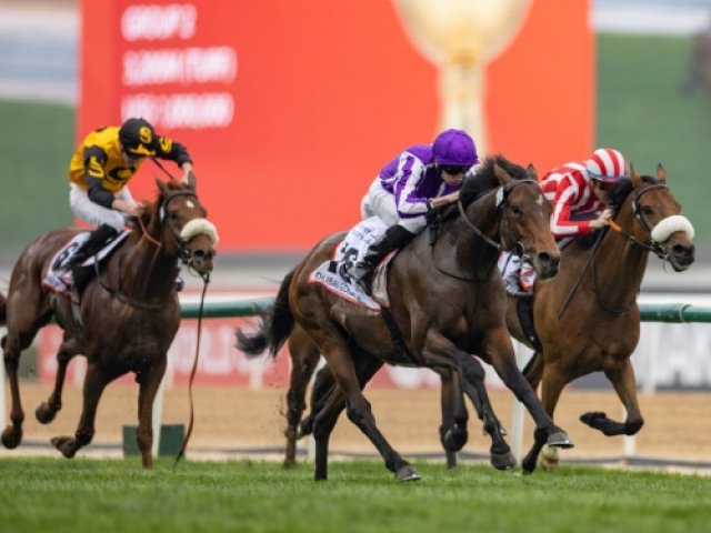 Book Official Dubai World Cup 2026 ticket packages with Gullivers Sports Travel - image