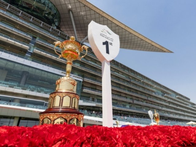 Official Dubai World Cup 2026 ticket package for horse racing fans - book now - image