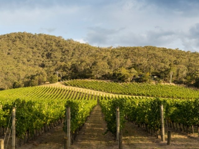 2025-26 NRMA Insurance Ashes Series package with Yarra Valley Wine excursion