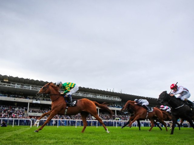 Book Dublin Racing Festival Leopardstown 2026 ticket packages for Horse Racing fans with Gullivers Sports Travel - image