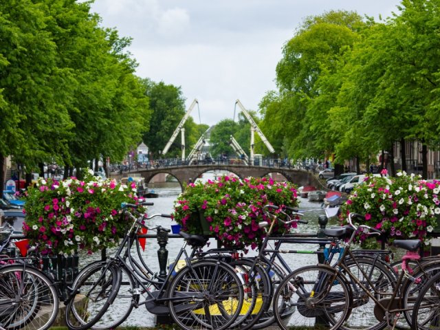 Book Dutch Grand Prix 2026 3 Night Package including ticket  and hotel options with Gullivers Sports Travel -  Amsterdam image