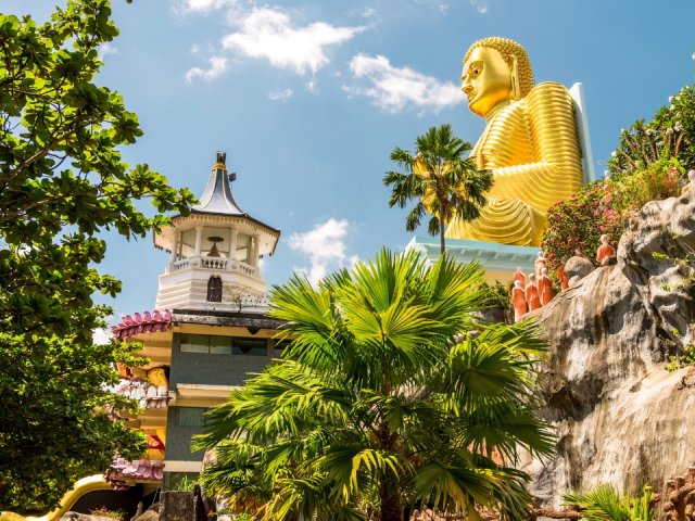Book England Cricket Tour to Sri Lanka ODI & T20I Series ticket package – Dambulla & Colombo image