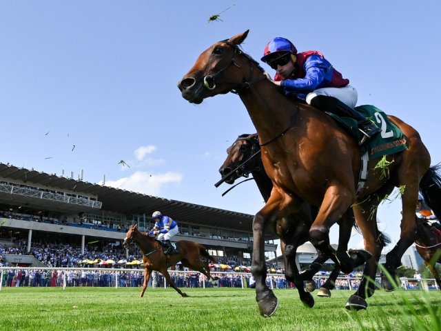 Book official Dublin Racing Festival Leopardstown hospitality ticket packages now!