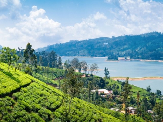 England Tour to Sri Lanka 2026 tickets for all 3 ODIs and all 3 T20Is - White Tour - image