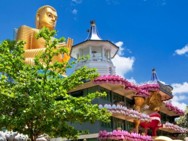 Book England Cricket Tour to Sri Lanka 2026 all 3 ODIs and 3 T20Is in Colombo and Kandy - image
