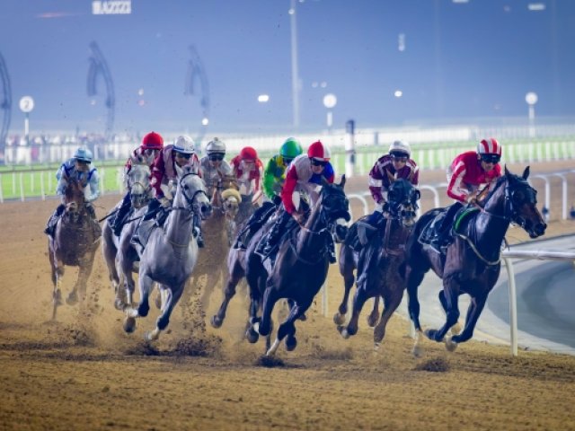 Official Dubai World Cup 2026 Gullivers Sports Travel
