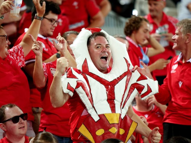 Book Official Men's Rugby World Cup 2027 Australia follow Wales - Last Pool games, Round of 16 and Quarter Finals image