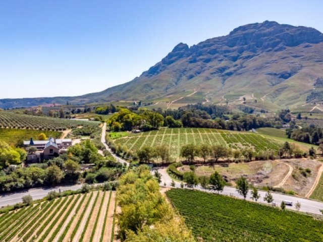 Book South Africa v England 2026-27 cricket tour to follow England to South Africa with Stellenbosh extension - image